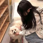 泰坦大战游戏下载