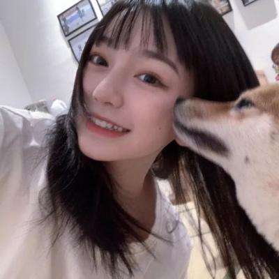 龙之抗争手游